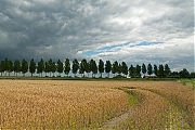 Filename=Hogerwaardpolder-20120721g1500IMG_1176a.jpg
Filesize=487KiB
Dimensions=1500x1000
Date added=Jul 21, 2012 Hogerwaardpolder-20120721g1500IMG_1176a.jpg