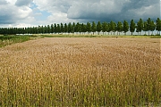Filename=Hogerwaardpolder-20120721g1500IMG_1182a.jpg
Filesize=497KiB
Dimensions=1500x1000
Date added=Jan 27, 2013 Hogerwaardpolder-20120721g1500IMG_1182a.jpg