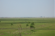 Oostvaardersplassen-20130611g1500IMG_0224a.jpg