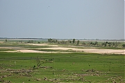 Oostvaardersplassen-20130611g1500IMG_0225a.jpg