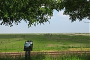 Oostvaardersplassen-20130611g1500IMG_0227a.jpg