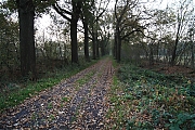 Stouwdreef20111112g1280B.jpg